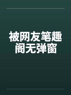 被网友笔趣阁无弹窗封面