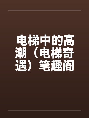 电梯中的高潮（电梯奇遇）笔趣阁无弹窗封面