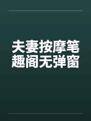 夫妻按摩笔趣阁无弹窗封面