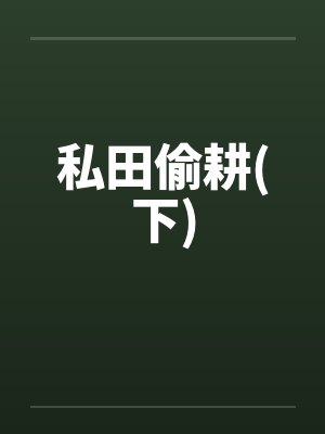私田偷耕(下)封面