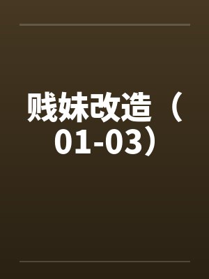 贱妹改造（01-03）封面