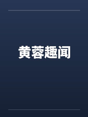 黄蓉趣闻封面