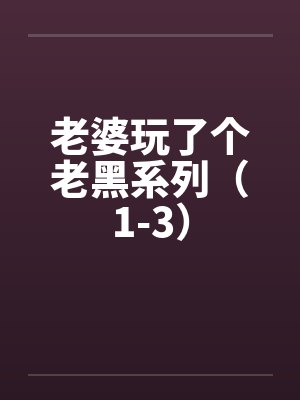 老婆玩了个老黑系列（1-3）封面