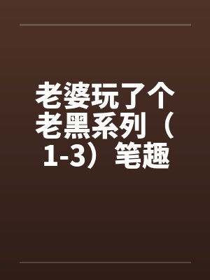 老婆玩了个老黑系列（1-3）笔趣阁无弹窗封面