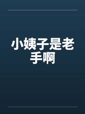 小姨子是老手啊封面