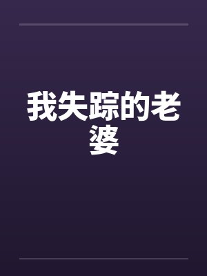 我失踪的老婆封面