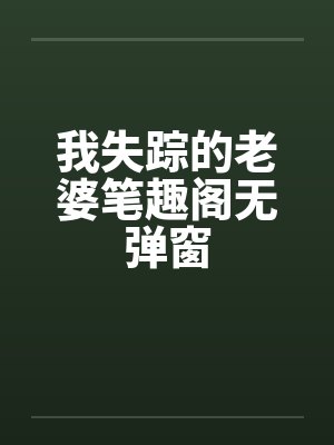 我失踪的老婆笔趣阁无弹窗封面