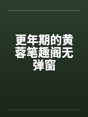 更年期的黄蓉笔趣阁无弹窗封面