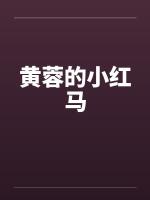 黄蓉的小红马封面