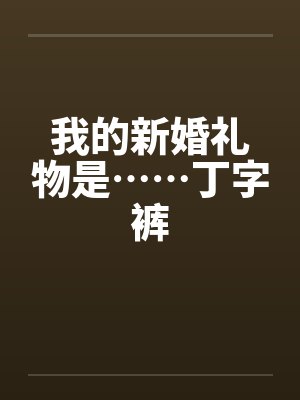我的新婚礼物是……丁字裤封面