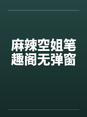 麻辣空姐笔趣阁无弹窗封面