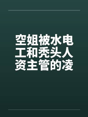 空姐被水电工和秃头人资主管的凌辱笔趣阁无弹窗封面