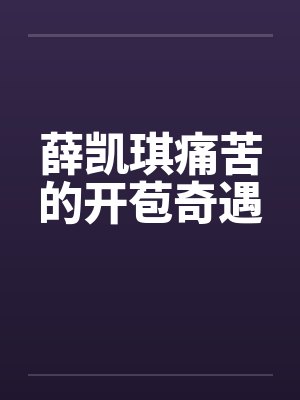 薛凯琪痛苦的开苞奇遇封面