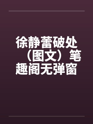 徐静蕾破处（图文）笔趣阁无弹窗封面