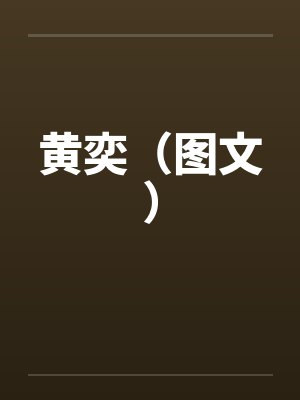 黄奕（图文）封面