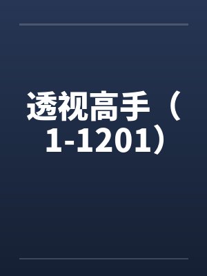 透视高手（1-1201）封面
