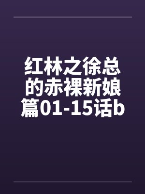 红林之徐总的赤裸新娘篇01-15话by佚名封面