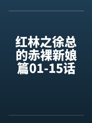 红林之徐总的赤裸新娘篇01-15话笔趣阁无弹窗封面