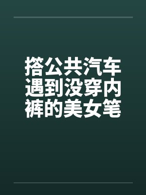 撘公共汽车遇到没穿内裤的美女笔趣阁无弹窗封面