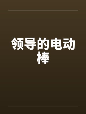 领导的电动棒封面