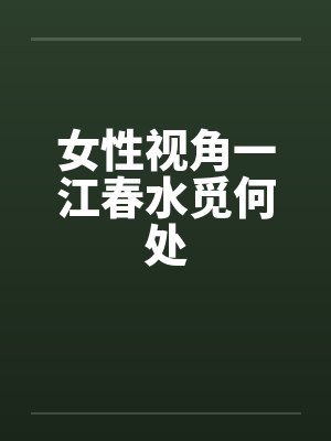 女性视角一江春水觅何处封面