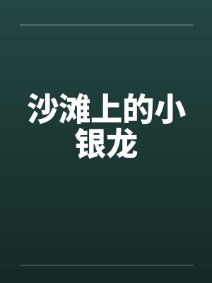 沙滩上的小银龙封面
