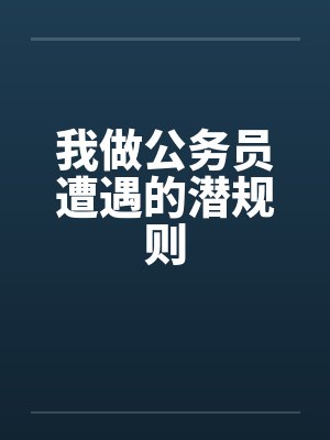 我做公务员遭遇的潜规则封面
