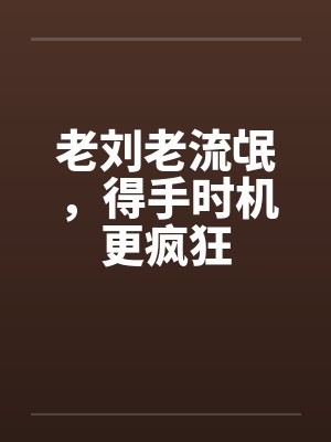 老刘老流氓，得手时机更疯狂封面