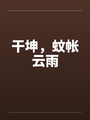 干坤，蚊帐云雨封面