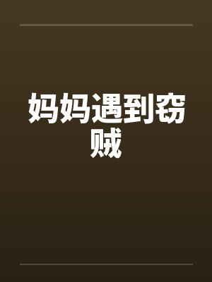 妈妈遇到窃贼封面