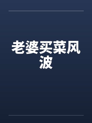 老婆买菜风波封面