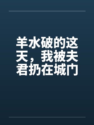 羊水破的这天,我被夫君扔在城门口封面