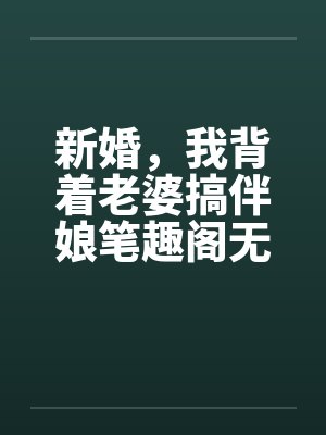 新婚，我背着老婆搞伴娘笔趣阁无弹窗封面