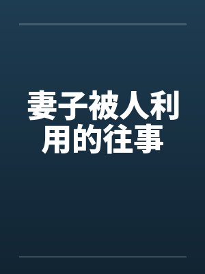 妻子被人利用的往事封面