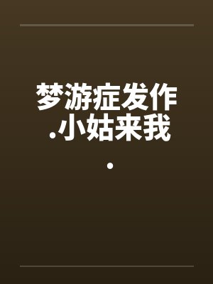 梦游症发作 .小姑来我 .封面