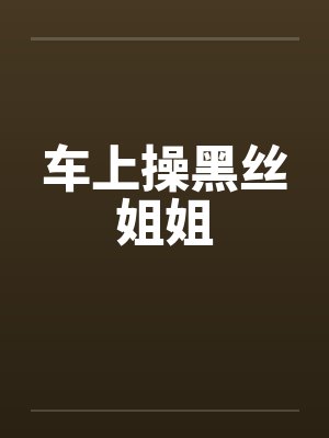 车上操黑丝姐姐封面