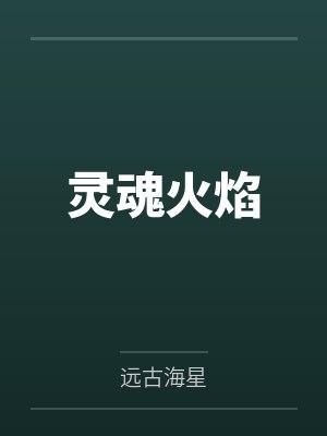 灵魂火焰封面