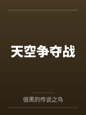 天空争夺战封面