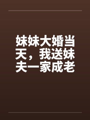 妹妹大婚当天,我送妹夫一家成老赖封面