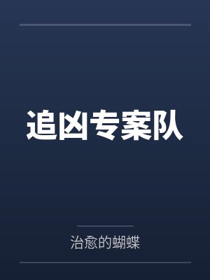 追凶专案队封面