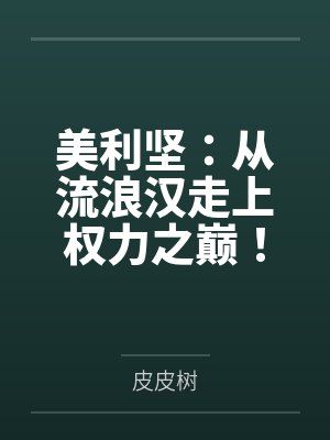 美利坚:从流浪汉走上权力之巅!封面