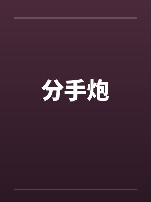 分手炮封面