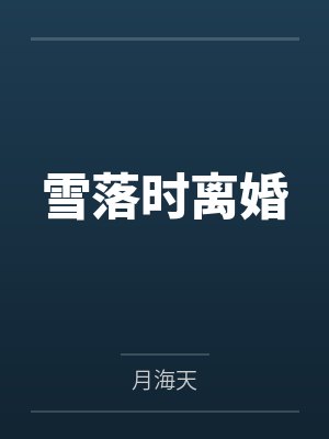 雪落时离婚封面