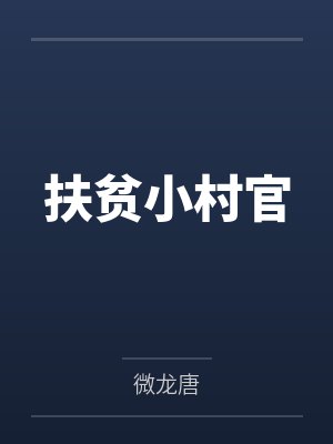 扶贫小村官封面