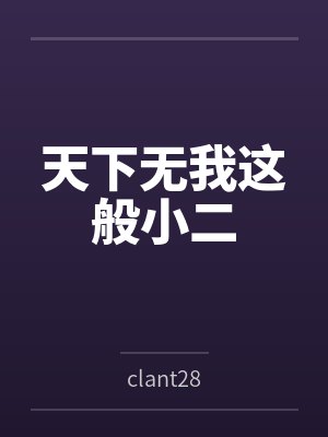天下无我这般小二封面