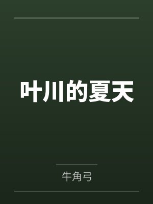 叶川的夏天封面