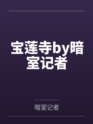 宝莲寺by暗室记者封面