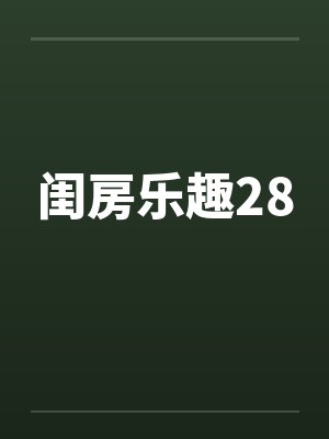 闺房乐趣28封面