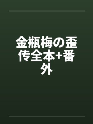 金瓶梅の歪传全本+番外封面