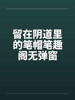 留在阴道里的笔帽笔趣阁无弹窗封面